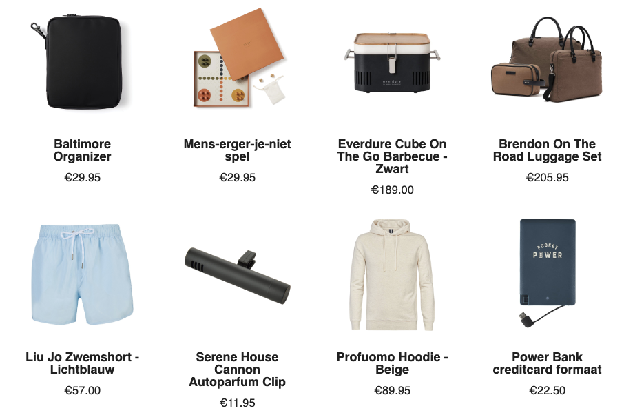 Travel_Essentials_For_The_Road_Trip_NL
