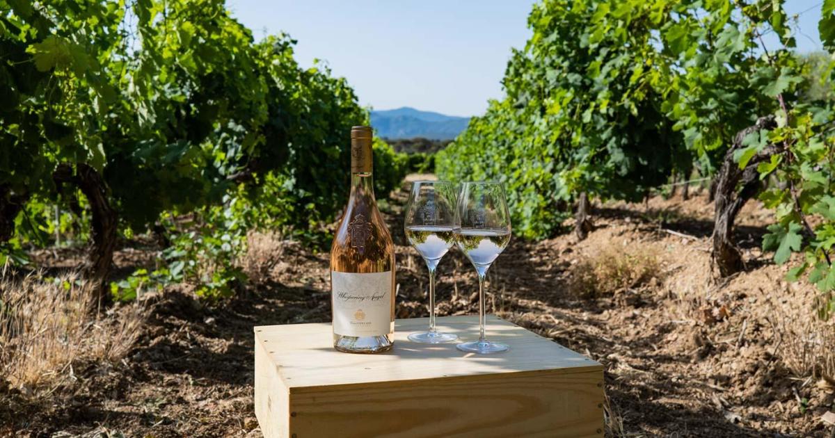 Deze Rosé Is De Perfecte Aperitief & Begeleider Van Oosterse Gerechten! 