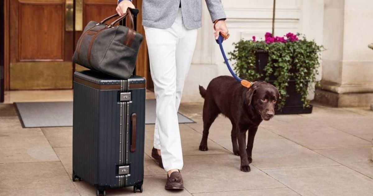 Elementi essenziali di viaggio per l'uomo Borse eleganti e