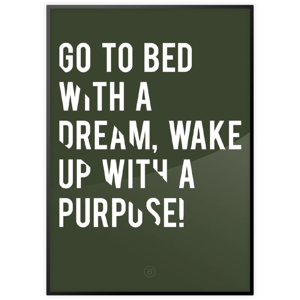 BVLLIN poster purpose