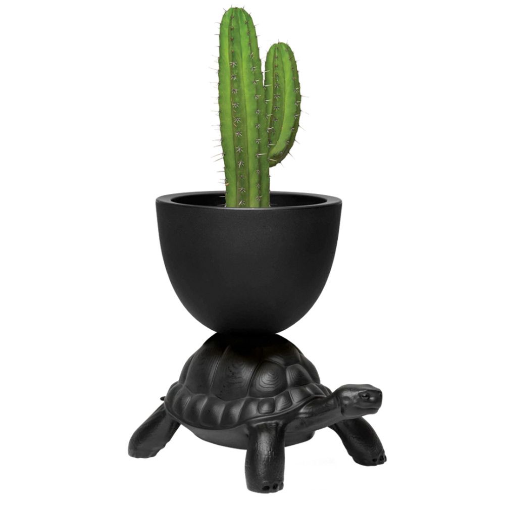 Qeeboo Turtle Carry Planter and Champagne Cooler