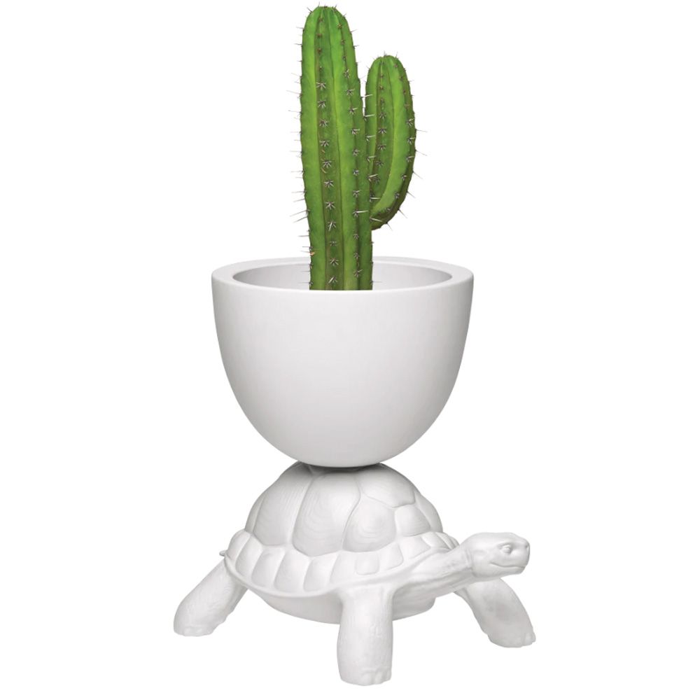 Qeeboo Turtle Carry Planter & Champagne Cooler
