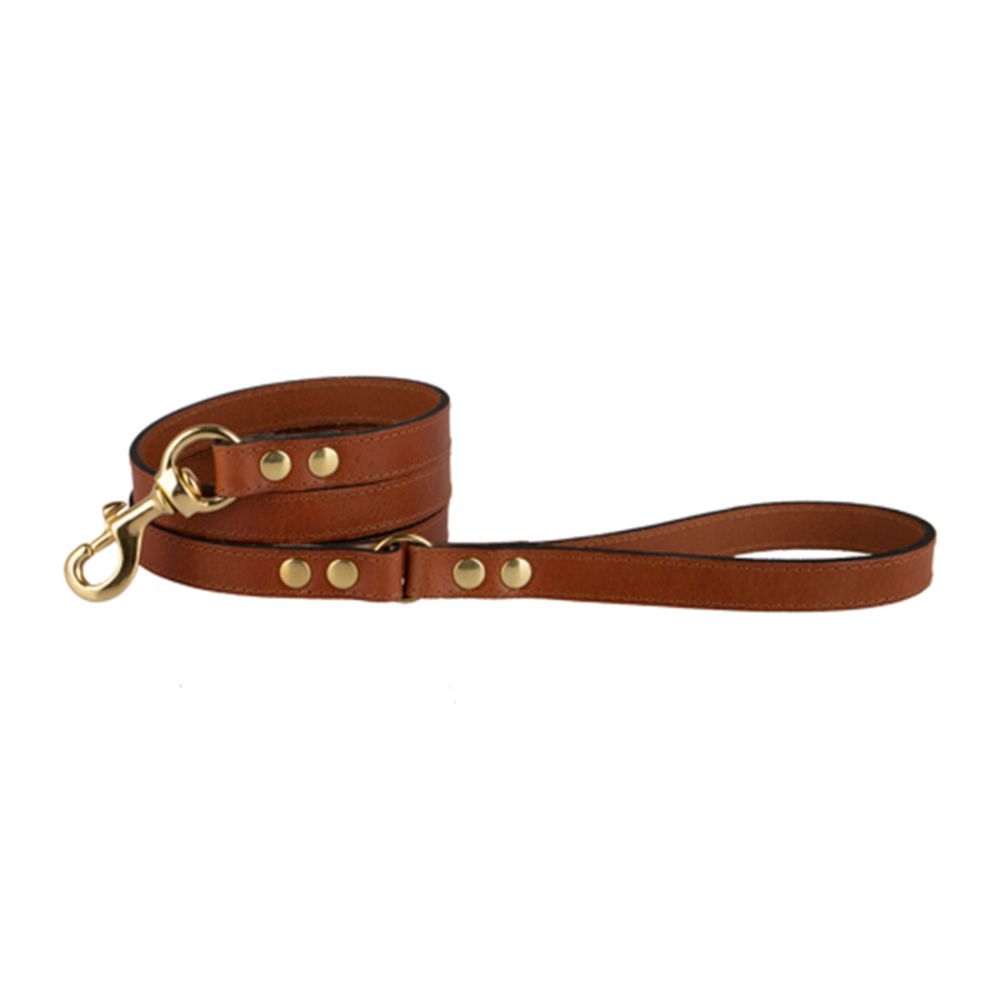 les deux chiens personalised dog leash