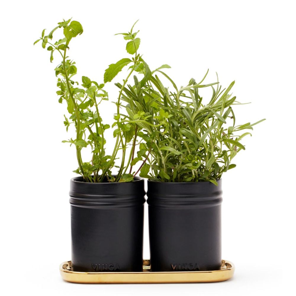 Monte Herb Set