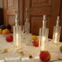 bottelight extra bright and dimmable