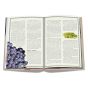 Assouline The 100 Burgundy: Exceptional Wines to Build a Dream Cellar