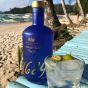Gin 1689