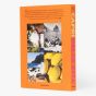 Veuve Clicquot Arrow & Assouline: Capri Edition
