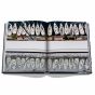 Monaco Yacht Club Book Assouline