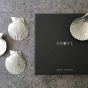 Amuse Shells