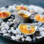 Amuse Shells