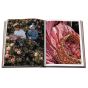 Assouline Oman Odyssey