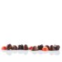 Discovery Collection - Chocolates