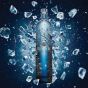 Belvedere vodka Bartezek