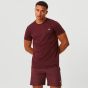 Björn Borg Ace T-shirt Stripe - Brown