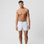 Björn Borg Borg Solid Swim Shorts - Blue-Grey