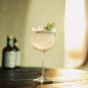 Botaniets Spiritueux Sans Alcool Original Avec Verres