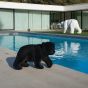 Charlie My Bear - Baby Charlie - White