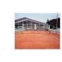 Courtship - For The Love Of Tennis