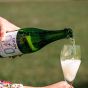 Divin Non-Alcoholic Sauvignon Blanc White Wine
