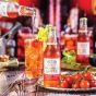 The Ultimate Cocktail Apéro Discovery Box
