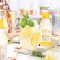 Double Dutch Double Lemon - 200 ml