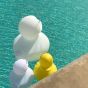 Goodnight Light The Duck Duck Lamp - Duo