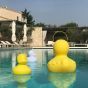 Goodnight Light The Duck Duck Lamp - XL