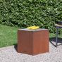 Eva Solo Firecube Fire Pit Grill