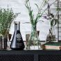 Gillemore gin