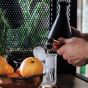 Gillemore Magical Gin & Tonic Set