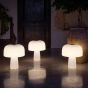 Goodnight Light Boleti Lamp