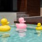 Goodnight Light The Duck Duck Lamp Pink - XL