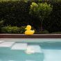 Goodnight Light The Duck Duck Lamp - Small