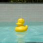 Goodnight Light The Duck Duck Lamp - Small