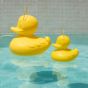 Goodnight Light The Duck Duck Lamp - Duo