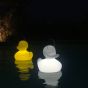 Goodnight Light The Duck Duck Lamp - XL