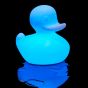 Goodnight Light The Duck Duck Lamp - XL