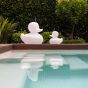 Goodnight Light The Duck Duck Lamp - XL