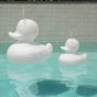 Goodnight Light The Duck Duck Lamp - XL