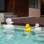 Goodnight Light The Duck Duck Lamp - XL