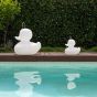 Goodnight Light The Duck Duck Lamp - Small