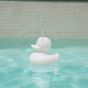 Goodnight Light The Duck Duck Lamp - Small