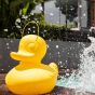Goodnight Light The Duck Duck Lamp - Duo