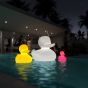Goodnight Light Lampen Duck Duck - lille