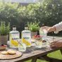 Personalised Non-Alcoholic Botanical Dry Gin Duo
