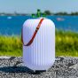 Nikki.Amsterdam the lampion, cooler bluetooth speaker