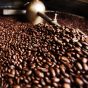 Vascobelo coffee Le Chevalier - 1kg