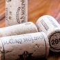 Mauro Molino Barolo 2020 DOCG Rode Wijn
