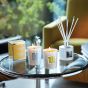 Max Benjamin Diffuser